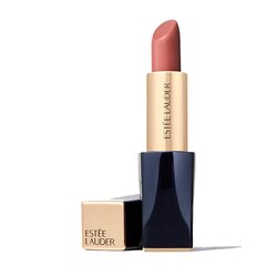 Lūpų dažai estee lauder pure color envy matte sculpting 551, 3.5 g kaina ir informacija | Lūpų dažai, blizgiai, balzamai, vazelinai | pigu.lt