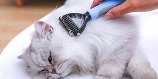 Кошачья щетка, массажная цена и информация | Средства по уходу за животными | pigu.lt