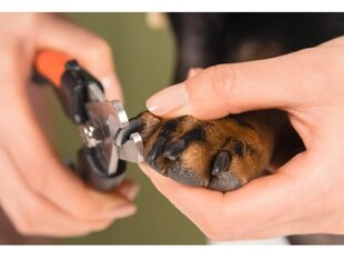 Ножницы для ногтей для собак/кошек цена и информация | Средства по уходу за животными | pigu.lt