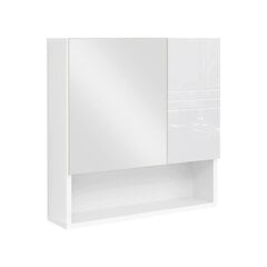 Зеркальный шкаф 54 х 15 х 55 см, белый цена и информация | Шкафчики для ванной | pigu.lt