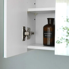 Зеркальный шкаф для ванной 60x15x55см, белый цена и информация | Шкафчики для ванной | pigu.lt
