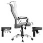 Ergonomiška biuro kėdė, pilka kaina ir informacija | Biuro kėdės | pigu.lt