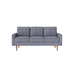 Sofa LCS101G01, 182 x 80,5 x 84 cm, pilka kaina ir informacija | Sofos | pigu.lt