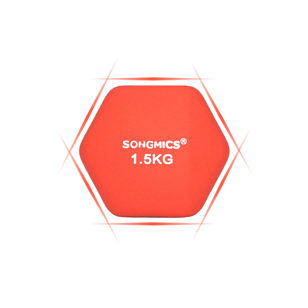 Svarmenų rinkinys Songmics SYL63OG, 2x1,5 kg цена и информация | Svoriai, svarmenys, štangos | pigu.lt