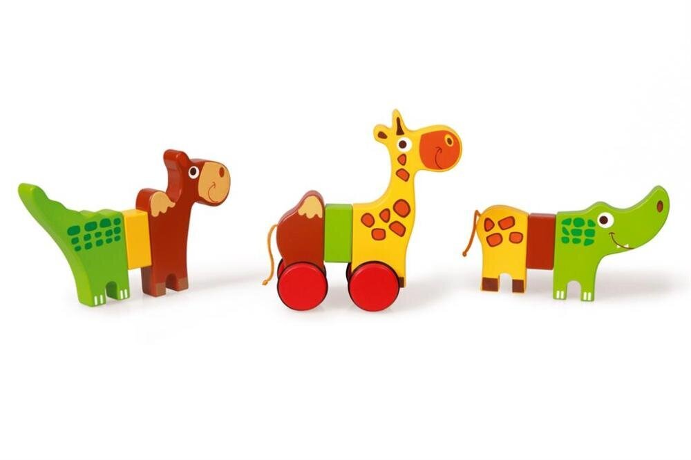 Magnetiniai gyvūnai Rolling safari Scratch Preschool,6181032, 3 vnt цена и информация | Lavinamieji žaislai | pigu.lt