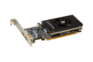 PowerColor AXRX 6400 LP 4GBD6-DH graphics card AMD Radeon RX 6400 4 GB GDDR6 kaina ir informacija | Vaizdo plokštės (GPU) | pigu.lt