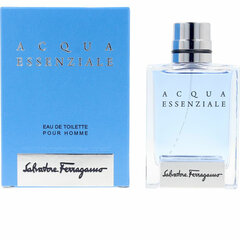 Мужская парфюмерия Salvatore Ferragamo Acqua Essenziale Homme EDT (50 мл) цена и информация | Мужские духи | pigu.lt