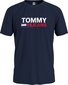 Tommy Jeans marškinėliai vyrams 46954, mėlyni kaina ir informacija | Vyriški marškinėliai | pigu.lt