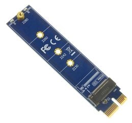 Adapteris PCI-e x1 į M.2 NVMe SSD kaina ir informacija | Adapteriai, USB šakotuvai | pigu.lt