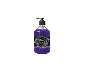 Geltonus atspalvius neutralizuojantis šampūnas Eurostil captain cook silver shampoo, 1000ml kaina ir informacija | Šampūnai | pigu.lt