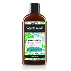 Šampūnas Nuggela & Sulé 100% Green Shampoo, 250ml kaina ir informacija | Šampūnai | pigu.lt