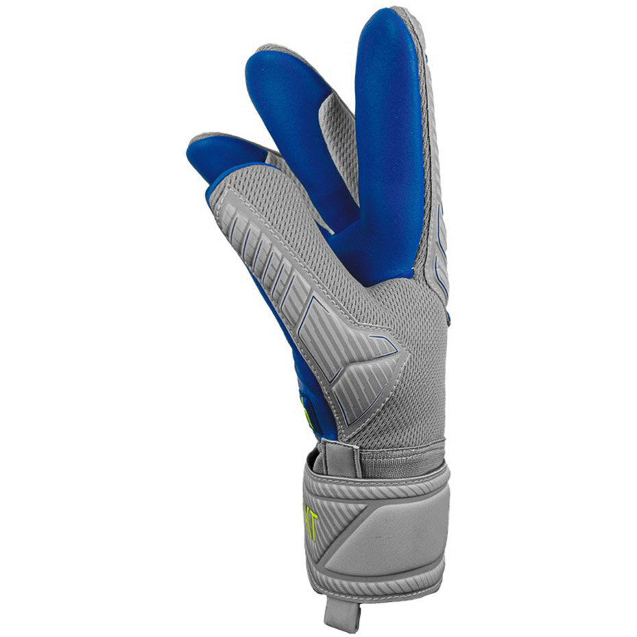 Futbolininko Pirštinės Grip Evolution Finger Support Junior Pilkos Mėlynos 5272820 6006 kaina ir informacija | Vartininko pirštinės | pigu.lt