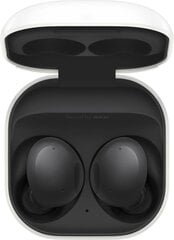 Samsung Galaxy Buds 2 SM-R177NZKAEUG цена и информация | Наушники | pigu.lt