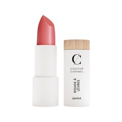 Lūpų dažai Couleur Caramel 221 kaina ir informacija | Couleur Caramel Kvepalai, kosmetika | pigu.lt