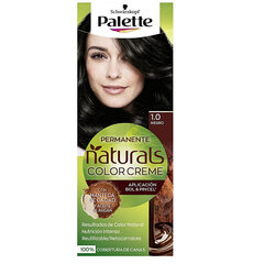 Постоянная краска Palette Natural Schwarzkopf цена и информация | Краска для волос | pigu.lt