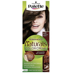 Plaukų dažai Schwarzkopf palette naturals color creme 4 0 medium chestnut kaina ir informacija | Plaukų dažai | pigu.lt