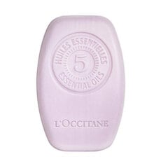 Šampūnas L´occitane Švelnus ir subalansuotas (60 g) kaina ir informacija | Šampūnai | pigu.lt