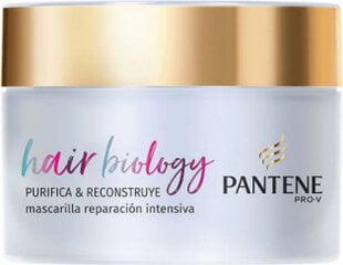 Маска для волос Pantene Pro-V Cleanse & Reconstruct Intensive Repair Mask, 160мл цена и информация | Средства для укрепления волос | pigu.lt