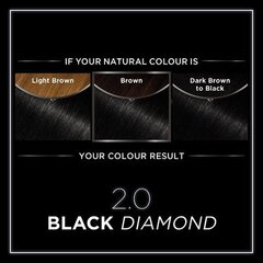 Перманентная краска Olia 2.0 Black Diamond Garnier цена и информация | Краска для волос | pigu.lt