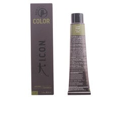 Kreminiai dažai I.C.O.N. Icon Ecotech Color Toner, Beige, 60 ml kaina ir informacija | ICON Plaukų priežiūrai | pigu.lt