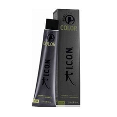 Plaukų dažai Ecotech Natural Color, 943 Very Light Copper , 60 ml kaina ir informacija | ICON Kvepalai, kosmetika | pigu.lt