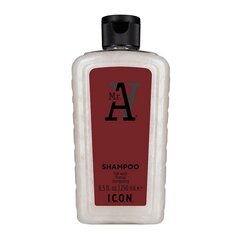 Šampūnas Icon mr a, 250 ml цена и информация | Шампуни | pigu.lt