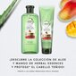 Šampūnas Shampoo Herbal Botanicals Aloe and Mango, 380 ml kaina ir informacija | Šampūnai | pigu.lt