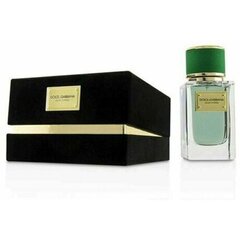 Kvapusis vanduo Dolce & Gabbana Velvet Cypress EDP unisex, 50 ml kaina ir informacija | Kvepalai moterims | pigu.lt