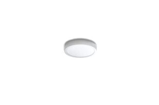 Потолочный светильник AZzardo Malta AZ4233 цена и информация | Потолочные светильники | pigu.lt