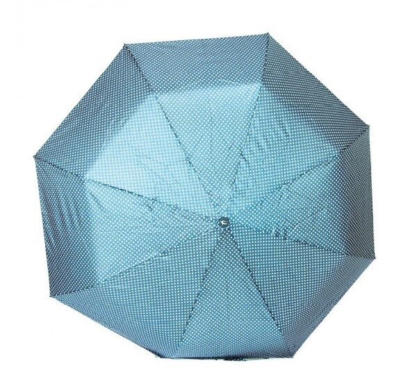 Automatinis skėtis Airtex 5371C kaina ir informacija | Moteriški skėčiai | pigu.lt