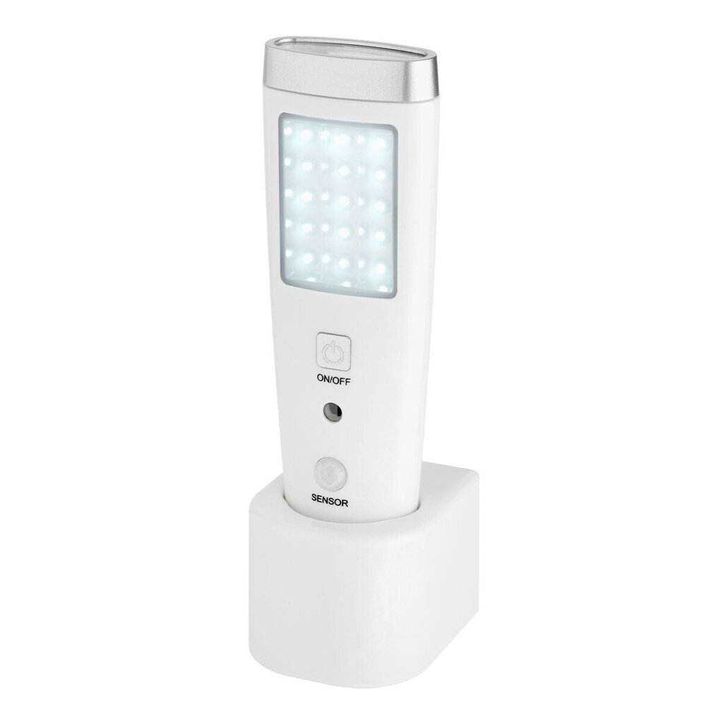 LED daugiafunkcis apsauginis šviestuvas LUMATIC GUARD 43.2033 kaina ir informacija | Lauko šviestuvai | pigu.lt