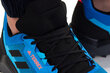 Sportiniai batai vyrams Adidas Terrex AX4 GZ3009, mėlyni цена и информация | Kedai vyrams | pigu.lt