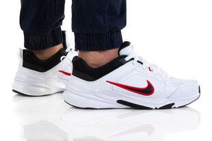 Nike Обувь Nike Defyallday White DJ1196 101 цена и информация | Кроссовки для мужчин | pigu.lt