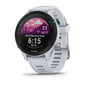 Garmin Forerunner® 255S Music Whitestone цена и информация | Išmanieji laikrodžiai (smartwatch) | pigu.lt