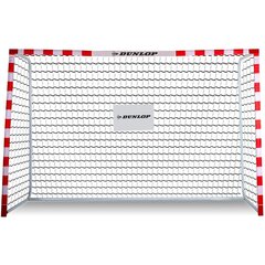 Футбольные ворота Dunlop Allround, 300 x 200 x 110 см цена и информация | Футбольные ворота и сетки | pigu.lt