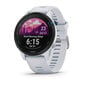 Garmin Forerunner® 255 Music Whitestone цена и информация | Išmanieji laikrodžiai (smartwatch) | pigu.lt