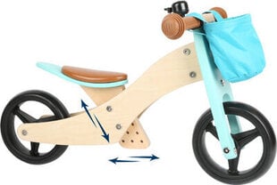 Balansinio dviračio treniruotės dviratis-trike 2-in-1 Turquoise – SF kaina ir informacija | Balansiniai dviratukai | pigu.lt