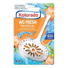 WC gaiviklis, 40 g kaina ir informacija | Valikliai | pigu.lt