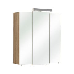 Зеркальный шкаф с LED-светильником 13-I дуб цена и информация | Шкафчики для ванной | pigu.lt