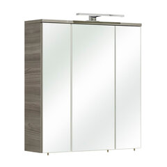 Зеркальный шкаф с LED-светильником 09-IV темно-серый цена и информация | Шкафчики для ванной | pigu.lt