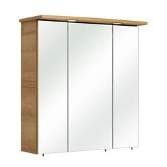 Зеркальный шкаф с LED-светильником 37-I дуб цена и информация | Шкафчики для ванной | pigu.lt