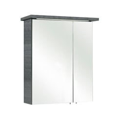 Зеркальный шкаф с LED-светильником 84-II серый цена и информация | Шкафчики для ванной | pigu.lt