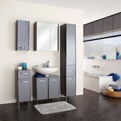 Зеркальный шкаф с LED-светильником 23-I антрацит цена и информация | Шкафчики для ванной | pigu.lt