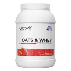 Baltyminiai milteliai OstoVit Oats&Whey 1 Kg, šokolado skonio kaina ir informacija | Aminorūgštys | pigu.lt