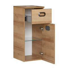 Нижний шкаф в ванную 353 дуб цена и информация | Шкафчики для ванной | pigu.lt