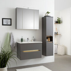 Зеркальный шкаф с LED-светильником 31-II серый цена и информация | Шкафчики для ванной | pigu.lt