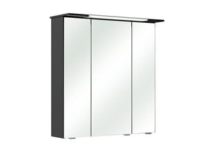 Зеркальный шкаф с LED-светильником 54-I антрацит цена и информация | Шкафчики для ванной | pigu.lt