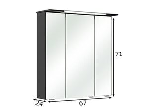 Зеркальный шкаф с LED-светильником 54-I антрацит цена и информация | Шкафчики для ванной | pigu.lt