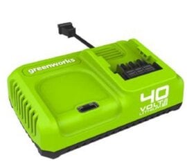Зарядное устройство Greenworks G40UC5 - 2945107, 40В 5А цена и информация | Шуруповерты, дрели | pigu.lt