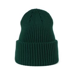 Мужская шапка Art of Polo cz21809-12 цена и информация | Мужские шарфы, шапки, перчатки | pigu.lt